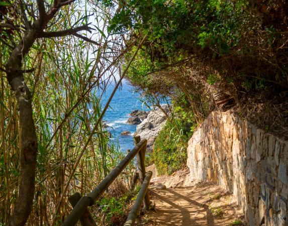 Coastal paths